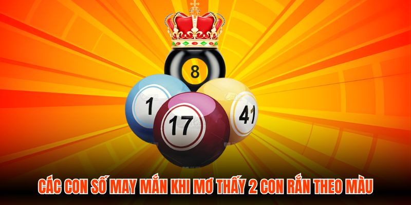Các con số may mắn khi mơ thấy 2 con rắn theo màu