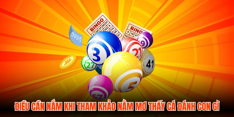 Điều cần nắm khi tham khảo nằm mơ thấy cá đánh con gì