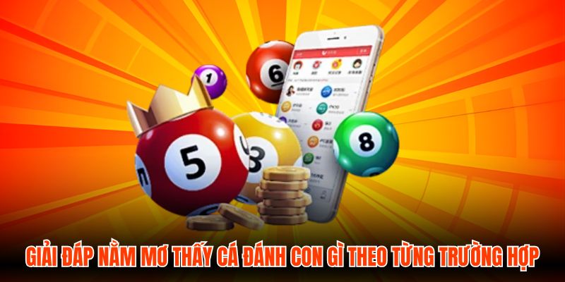 Giải đáp nằm mơ thấy cá đánh con gì theo từng trường hợp