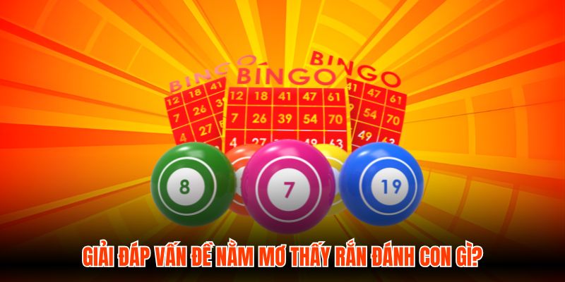Giải đáp vấn đề nằm mơ thấy rắn đánh con gì?