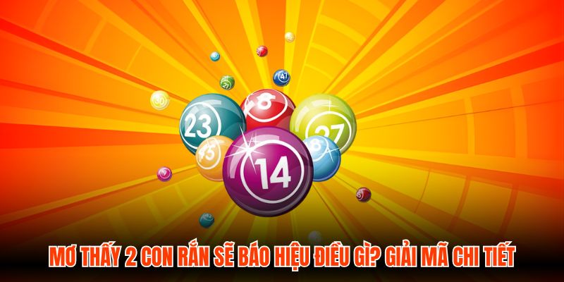 Mơ Thấy 2 Con Rắn Sẽ Báo Hiệu Điều Gì? Giải Mã Chi Tiết
