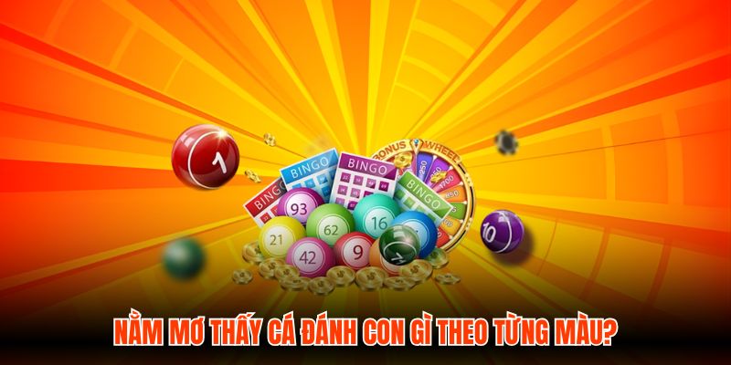 Nằm mơ thấy cá đánh con gì theo từng màu?